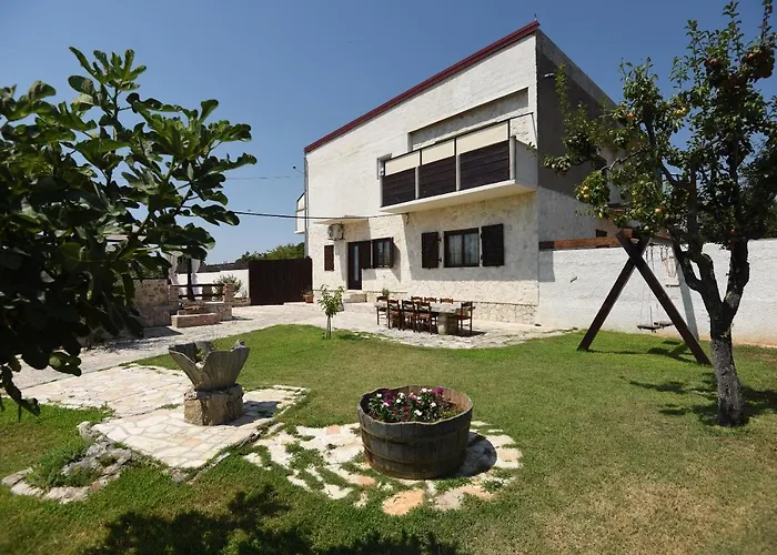 House & Palaca *