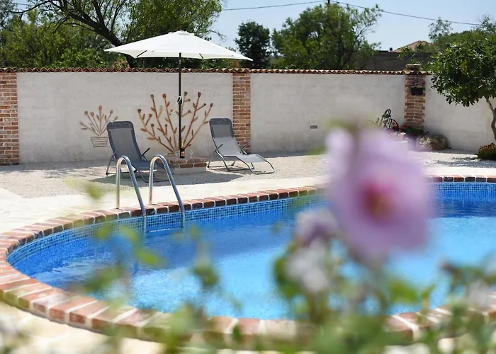 House & Palaca *